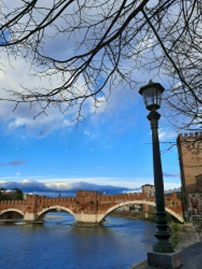 Villa Sul Lago Con Pontile Privato A Brenzone Sul Garda - Unique And Exclusive Bagian luar foto